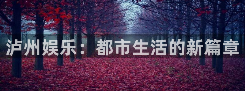 天辰平台：泸州娱乐：都市生活的新篇章