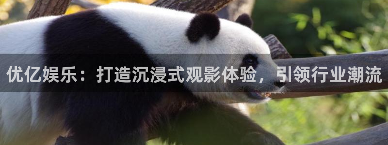 天辰娱乐：优亿娱乐：打造沉浸式观影体验，引领行业潮流