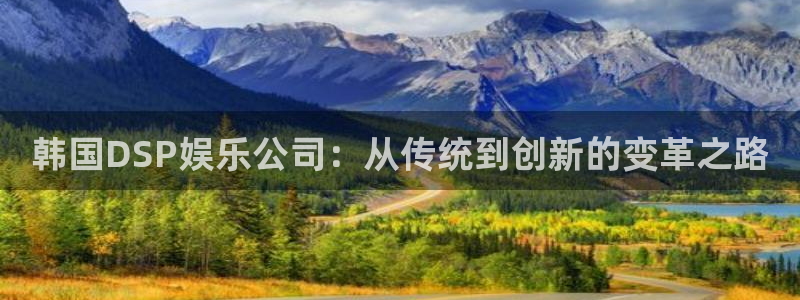 天辰娱乐：韩国DSP娱乐公司：从传统到创新的变革之路