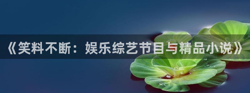 天辰娱乐注册：《笑料不断：娱乐综艺节目与精品小说》