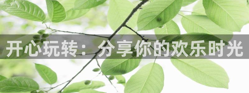 天辰娱乐下载：开心玩转：分享你的欢乐时光